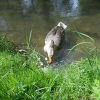 tierrettung_oma_grete_3.jpg