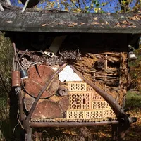 tiere_insektenhotel_2_1600.jpg